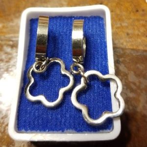 Stainless steel earrings